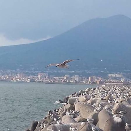 Casa Vacanza Nonna Antonietta Castellammare di Stabia Eksteriør billede