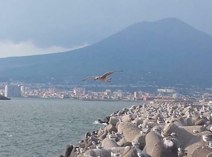 Casa Vacanza Nonna Antonietta Castellammare di Stabia Eksteriør billede